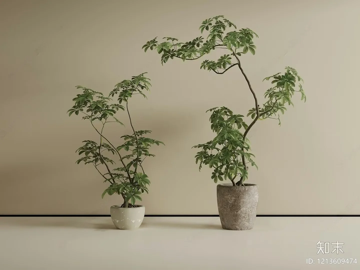 Two Potted Plants 3D Model – 5975 – VRAY Render
