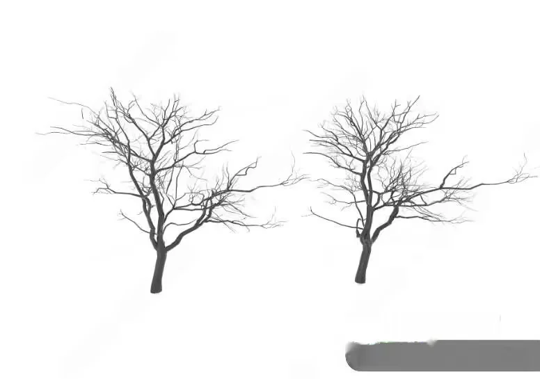 Two Bare Trees 3D Model – 21624 – VRAY Render