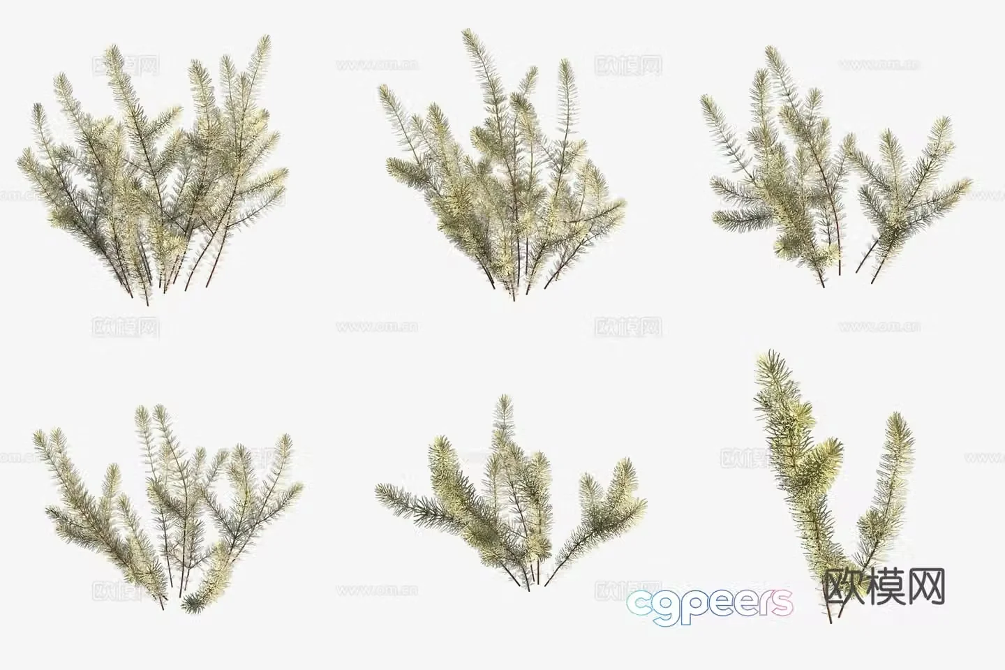 Aquatic plants goblins algae aquatic plants 3D model
