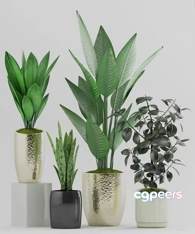 3ds Max Free – Plant 89