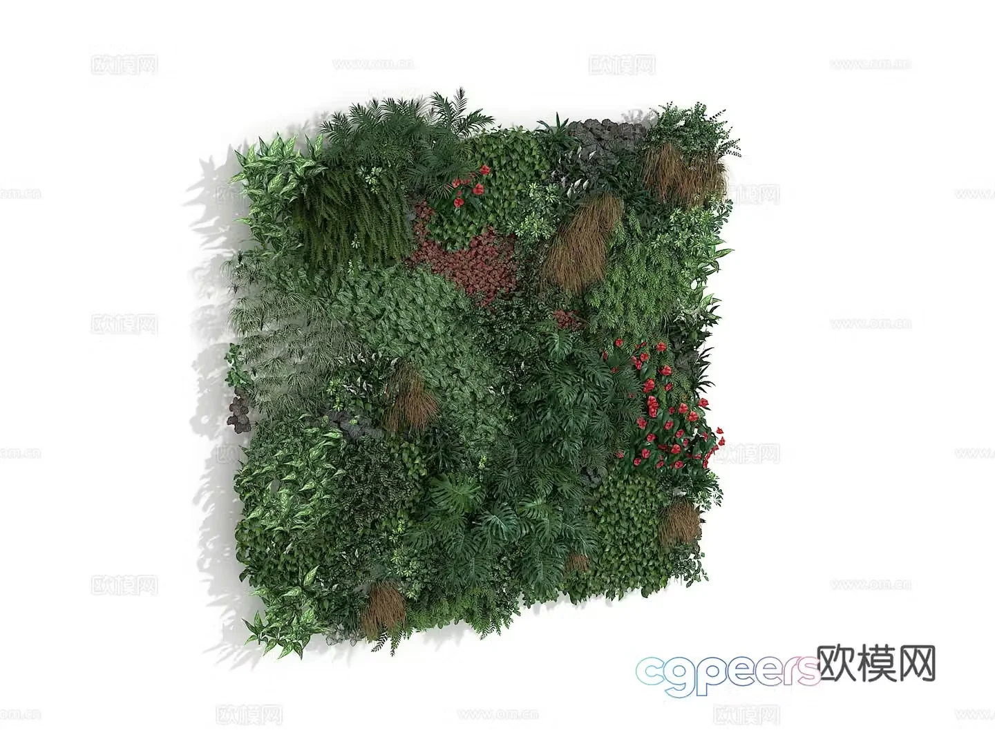 Plant wall 3d model
