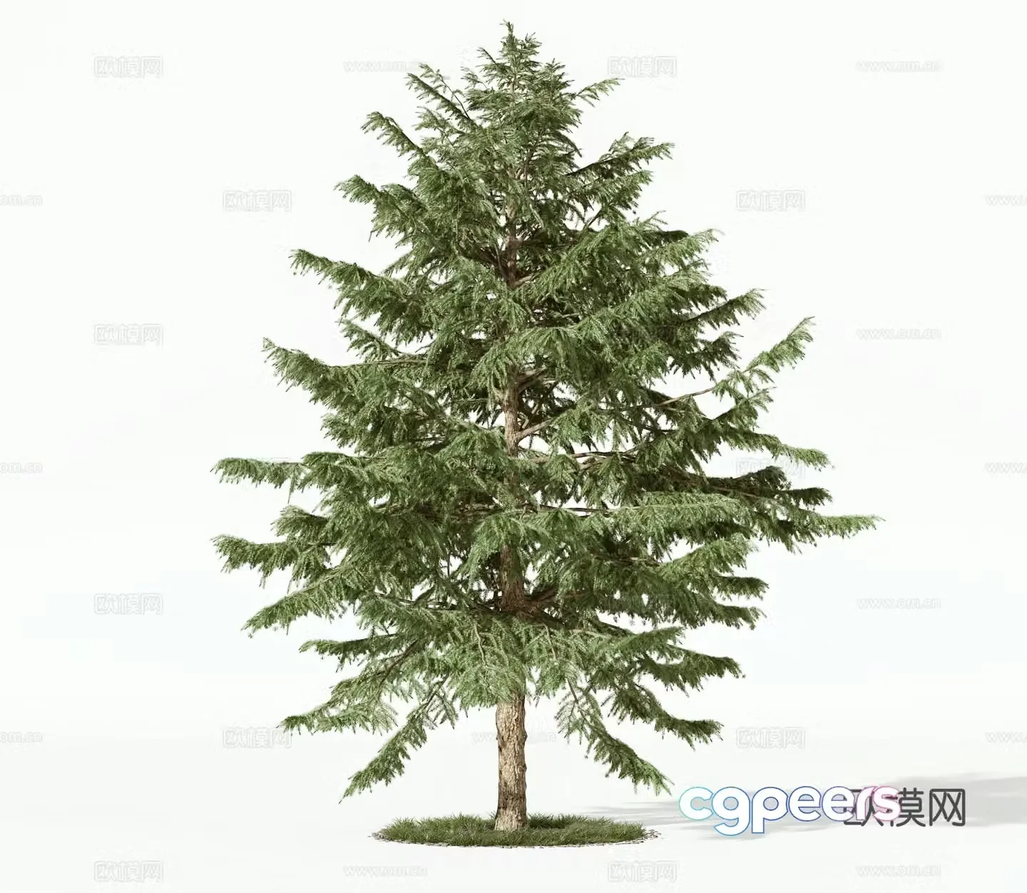modern trees 3d model