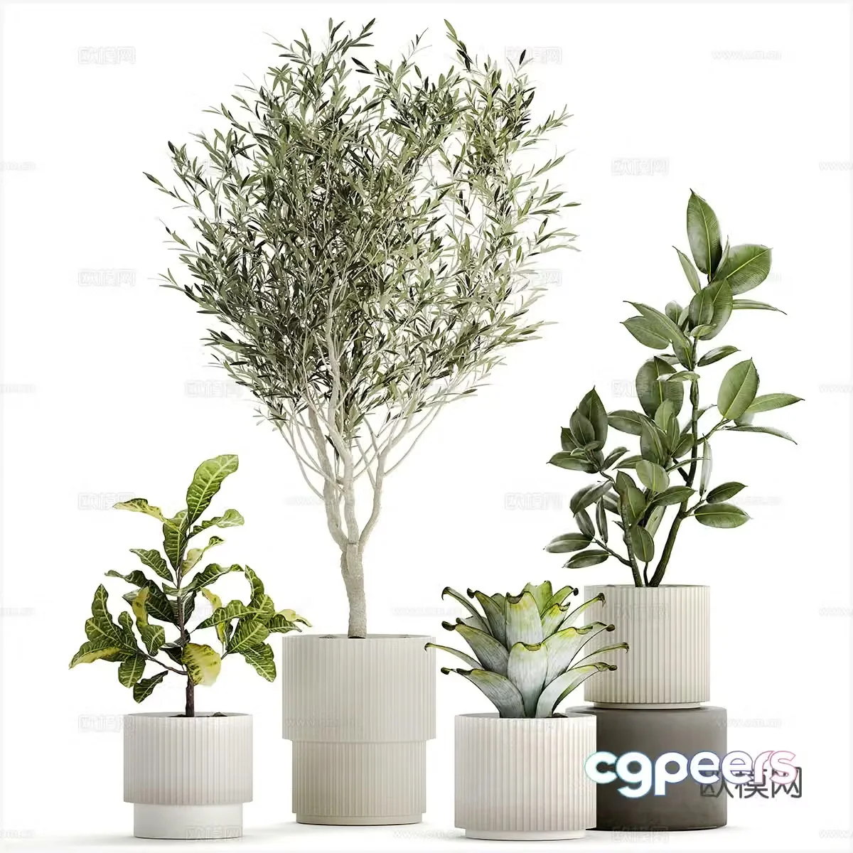 Modern green bonsai pot 3d model