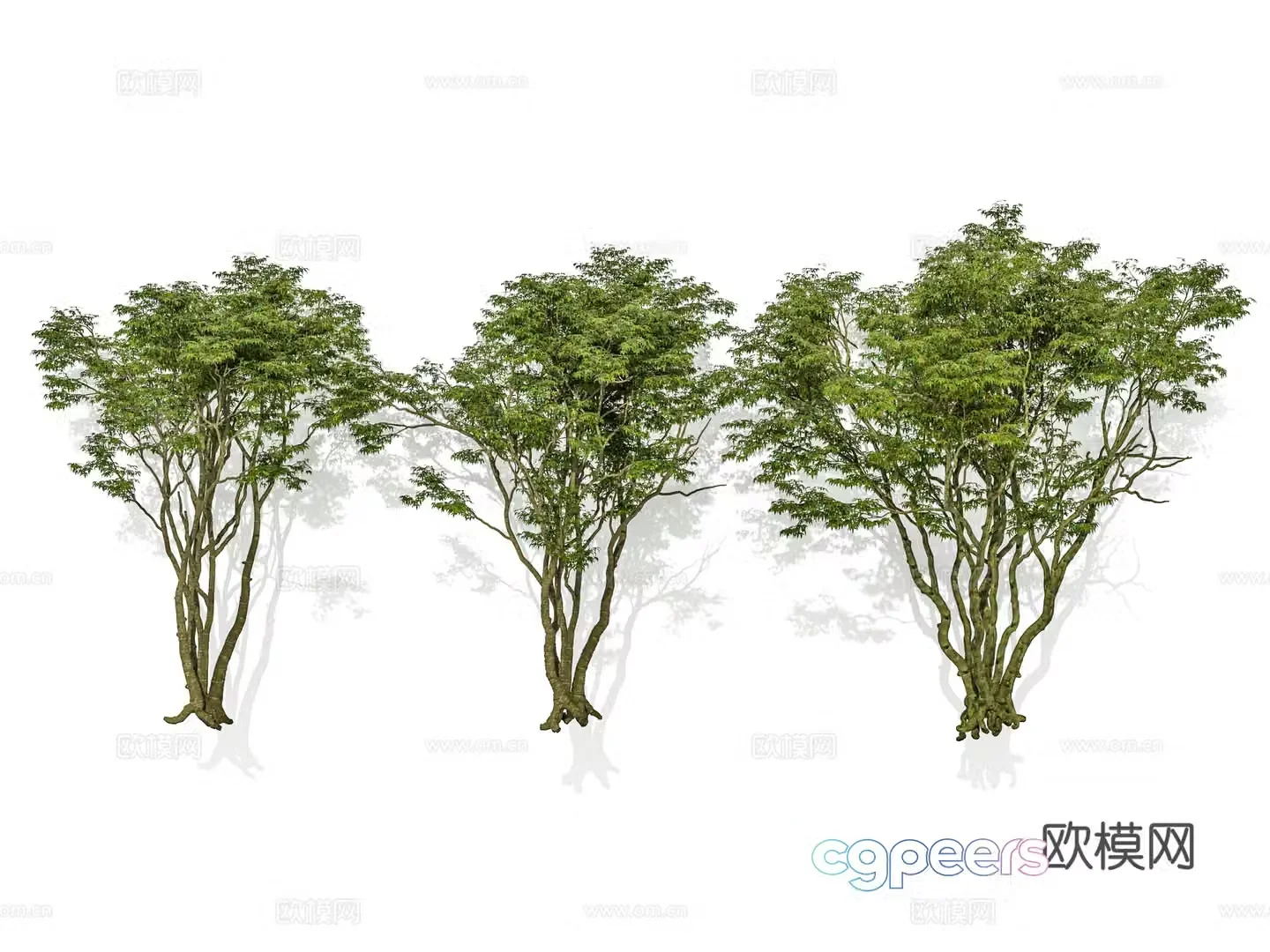 Modern tree Street tree Landscape tree Cluster tree Shrub Garden garden plant group 3D model