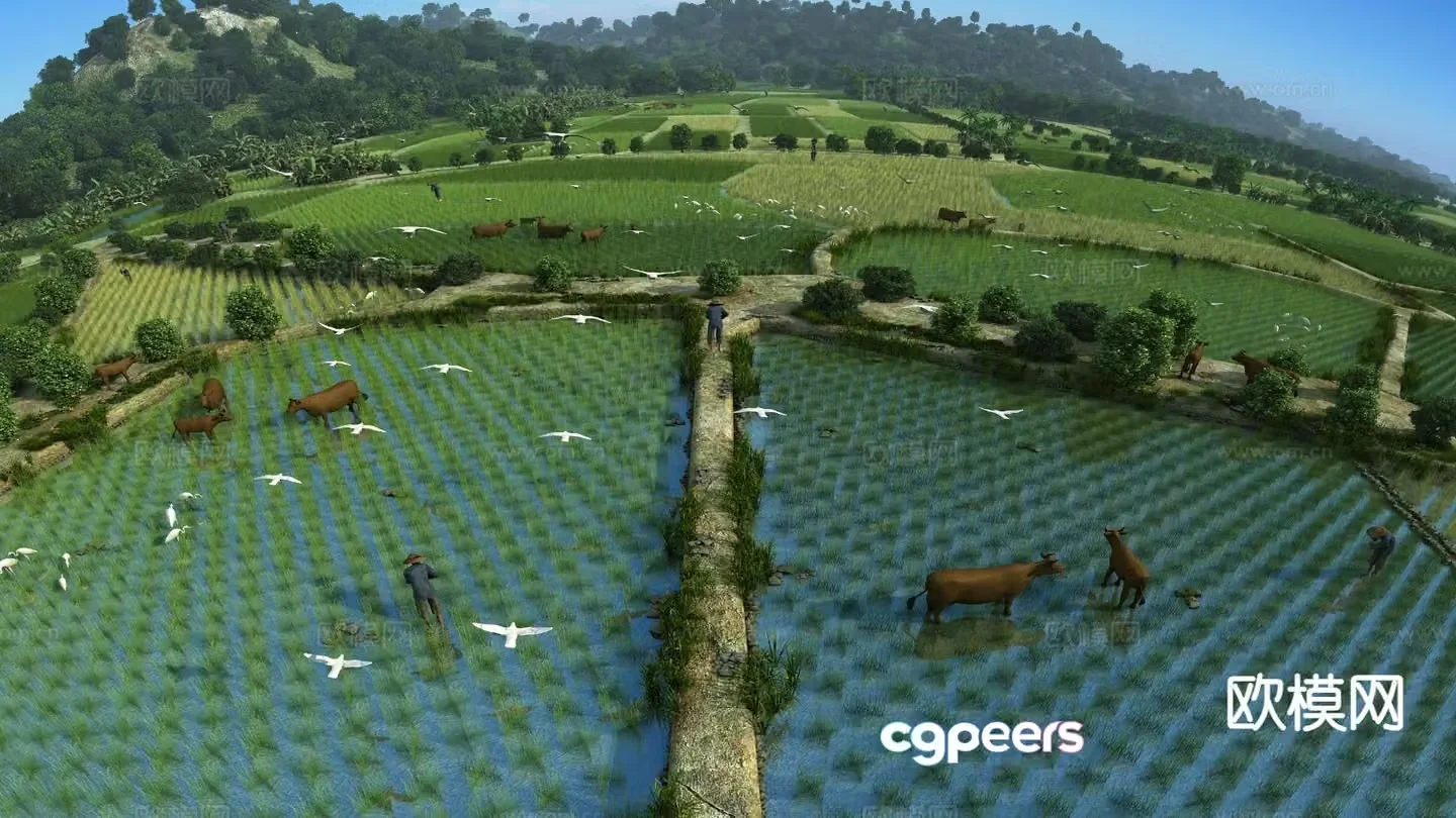Chinese farmland scene 3D model