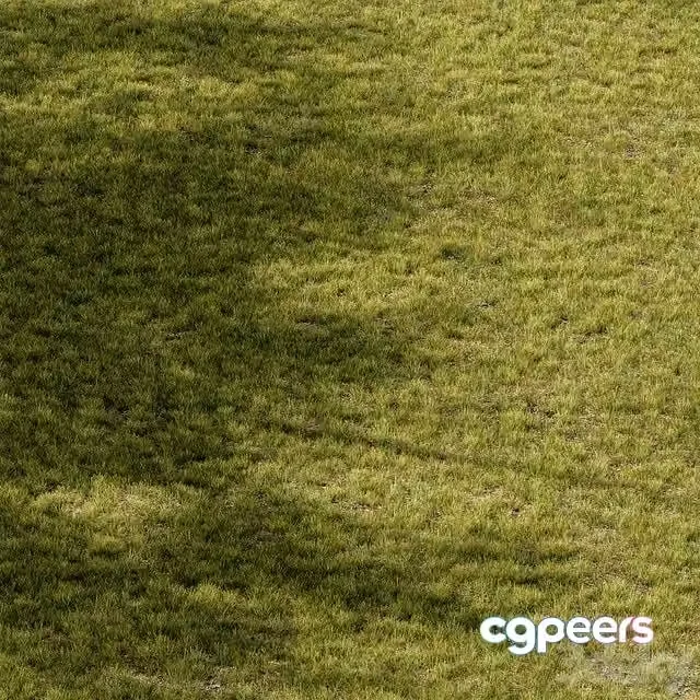 3ds Max Free – Short Grass Set 29