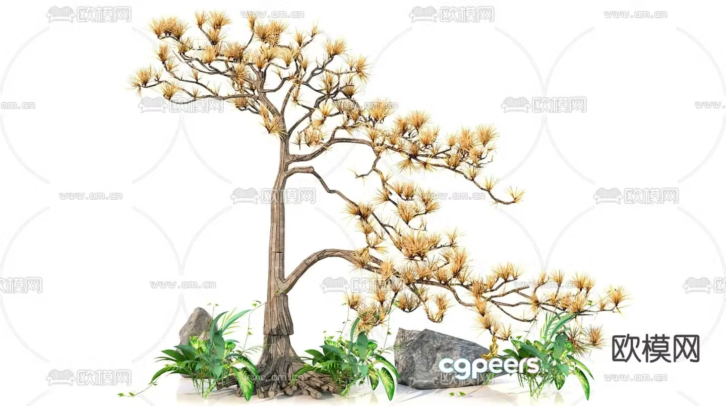 Landscape sketch Huangshan pine landscaping 3D model