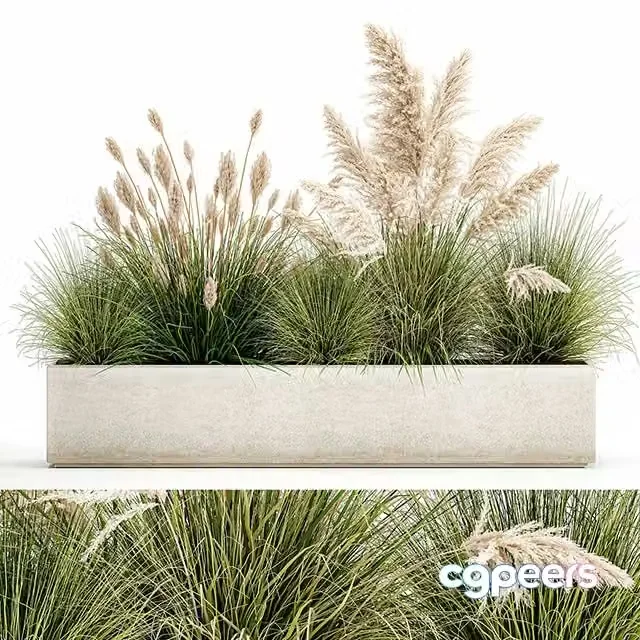 3ds Max Free – Collection of plants in a pot Set 1077