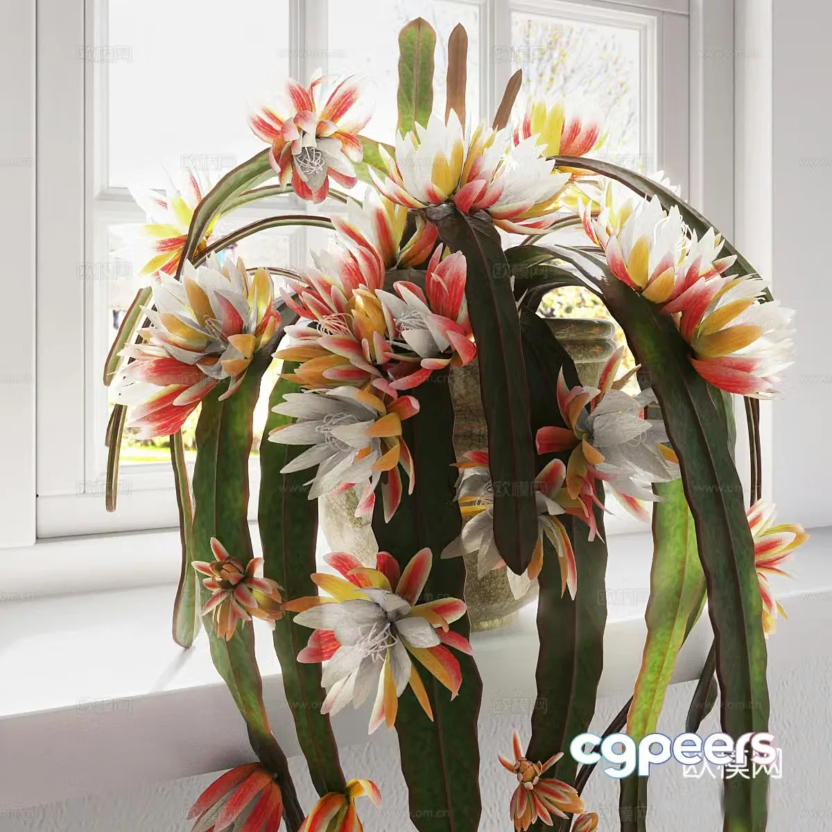 Epiphyllum 3d model
