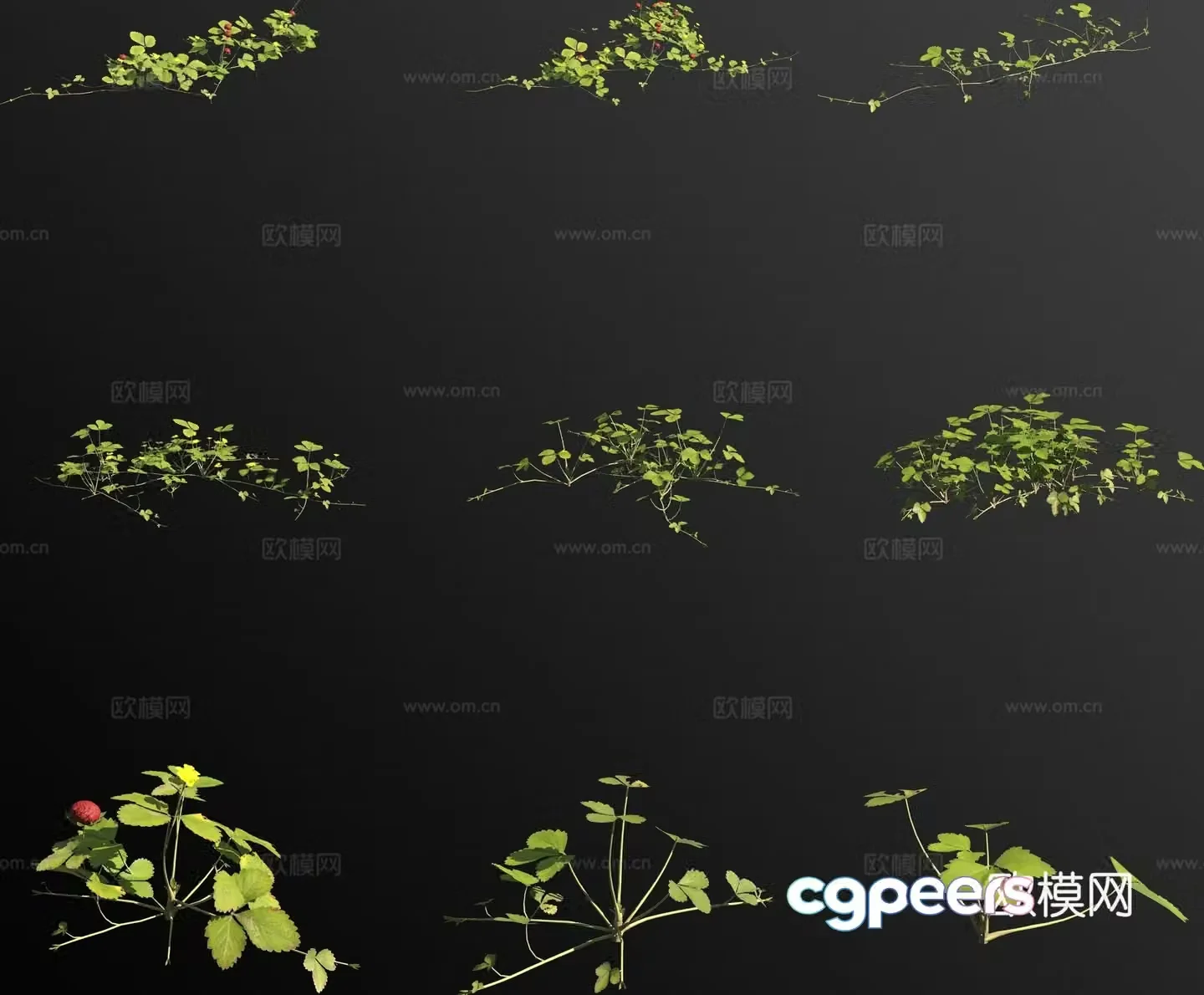 Snake grass flower 3d model