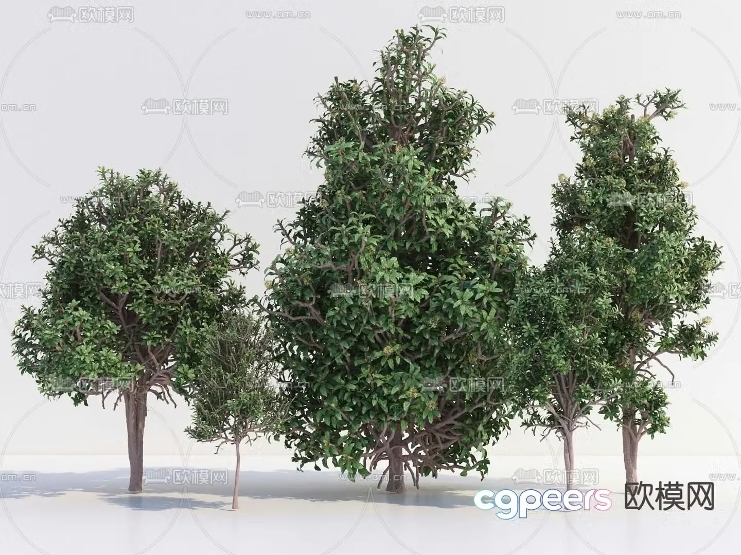 Modern Trees 3d Model