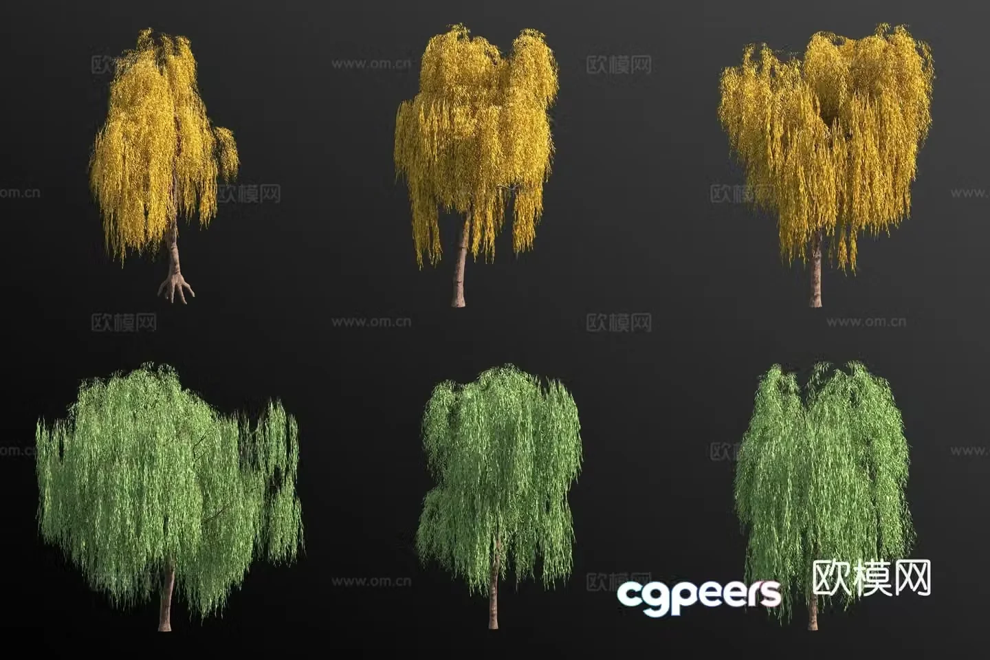 Weeping willow tree 3d model
