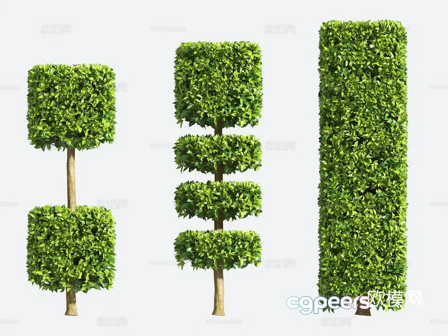 Ornamental Plant Modeling Tree Gardening Shrub 3D Model