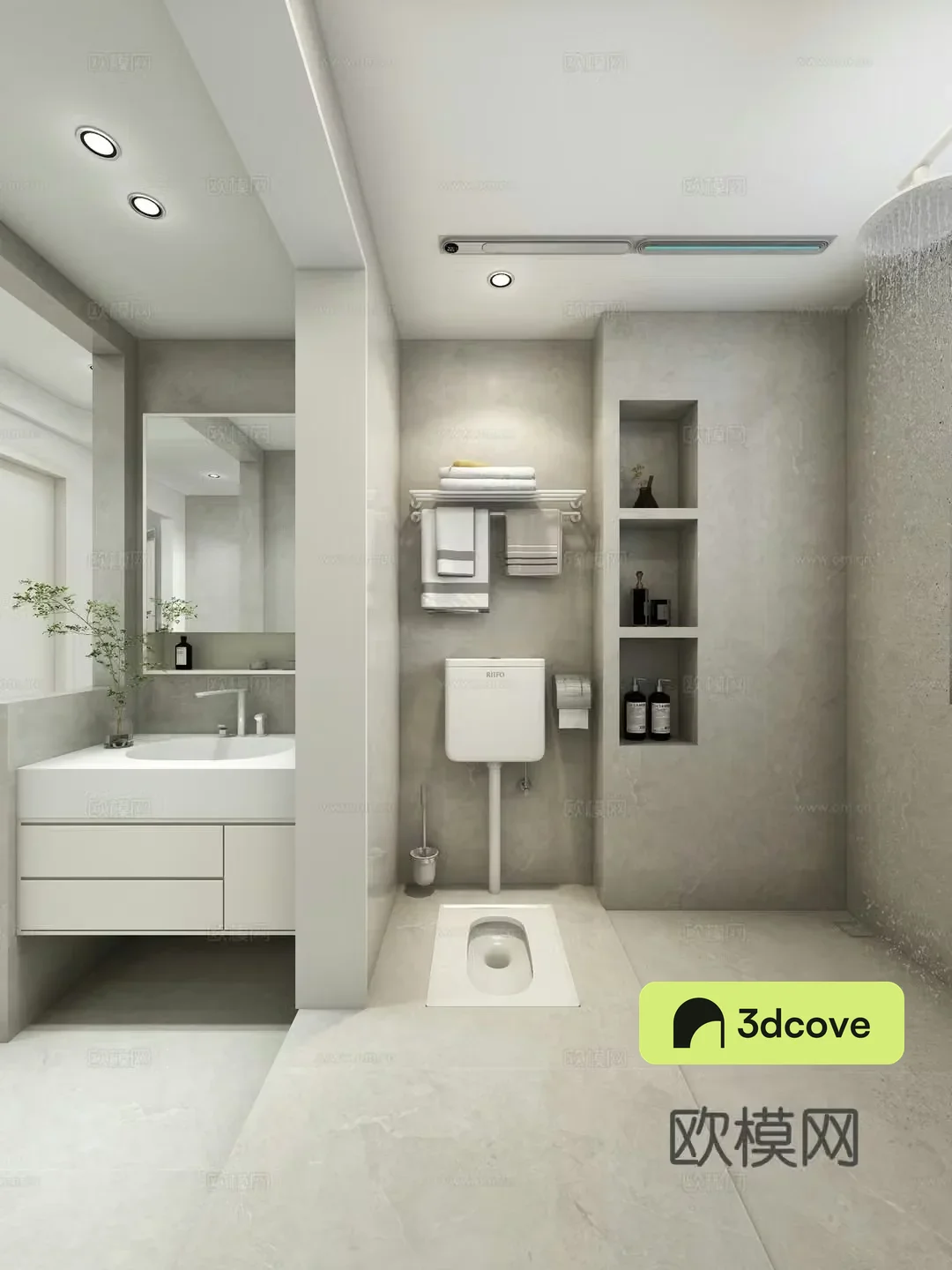 Modern wet and dry bathroom