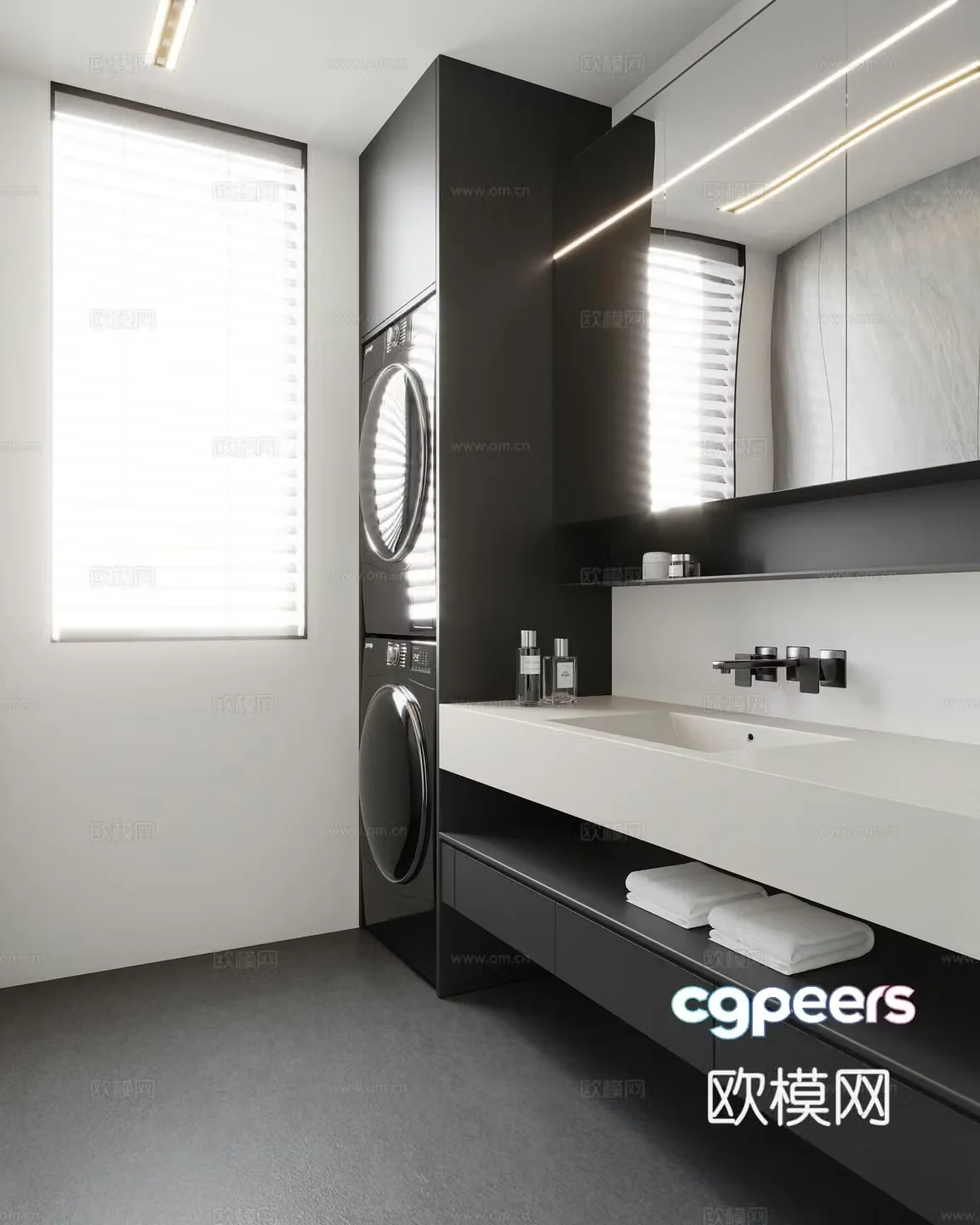 Modern black white and gray bathroom 3d model