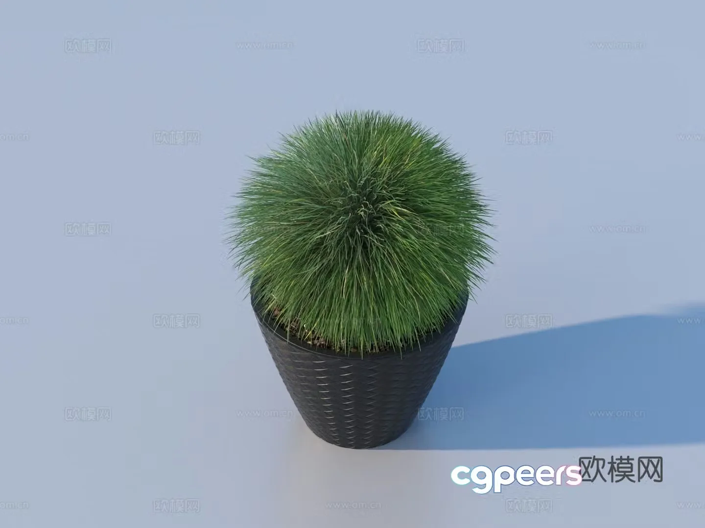 Flower pot pot green plants plant 3d model
