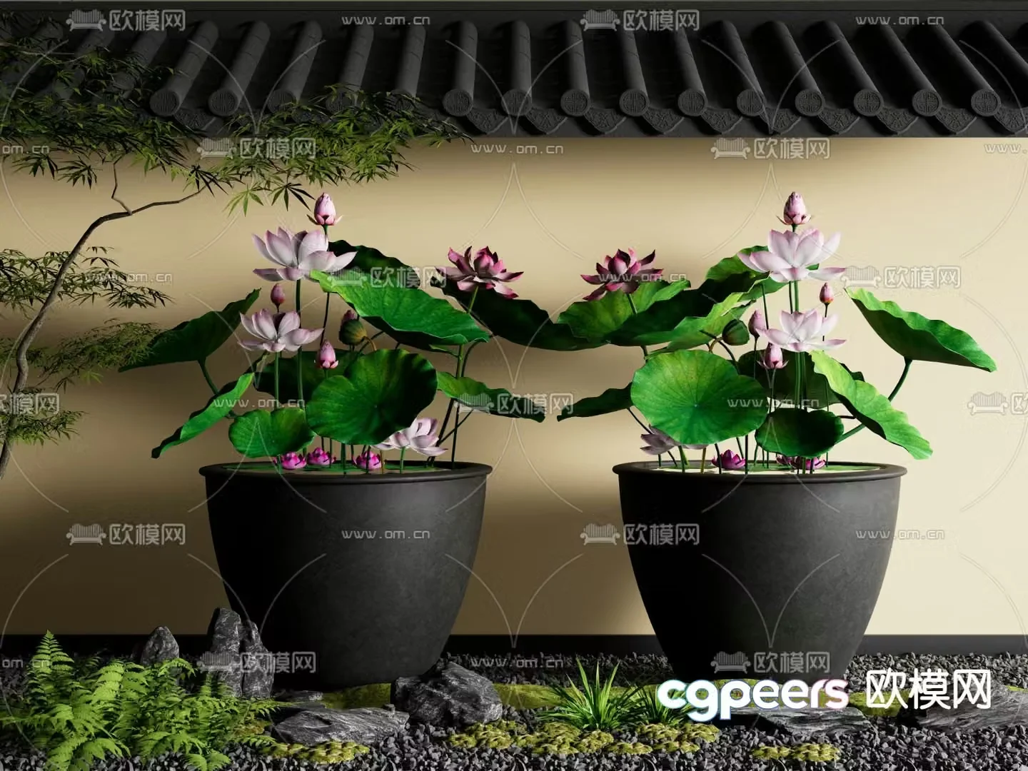 Chinese-style water tank lotus tank aquatic plant 3D model