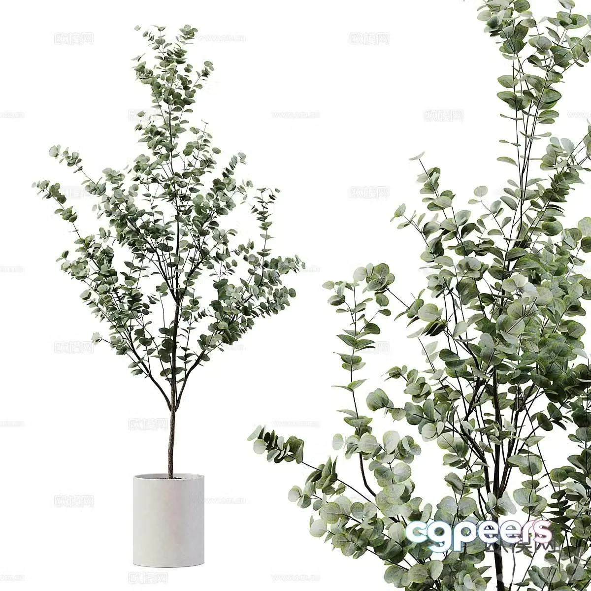 Modern green plant potted 3D model