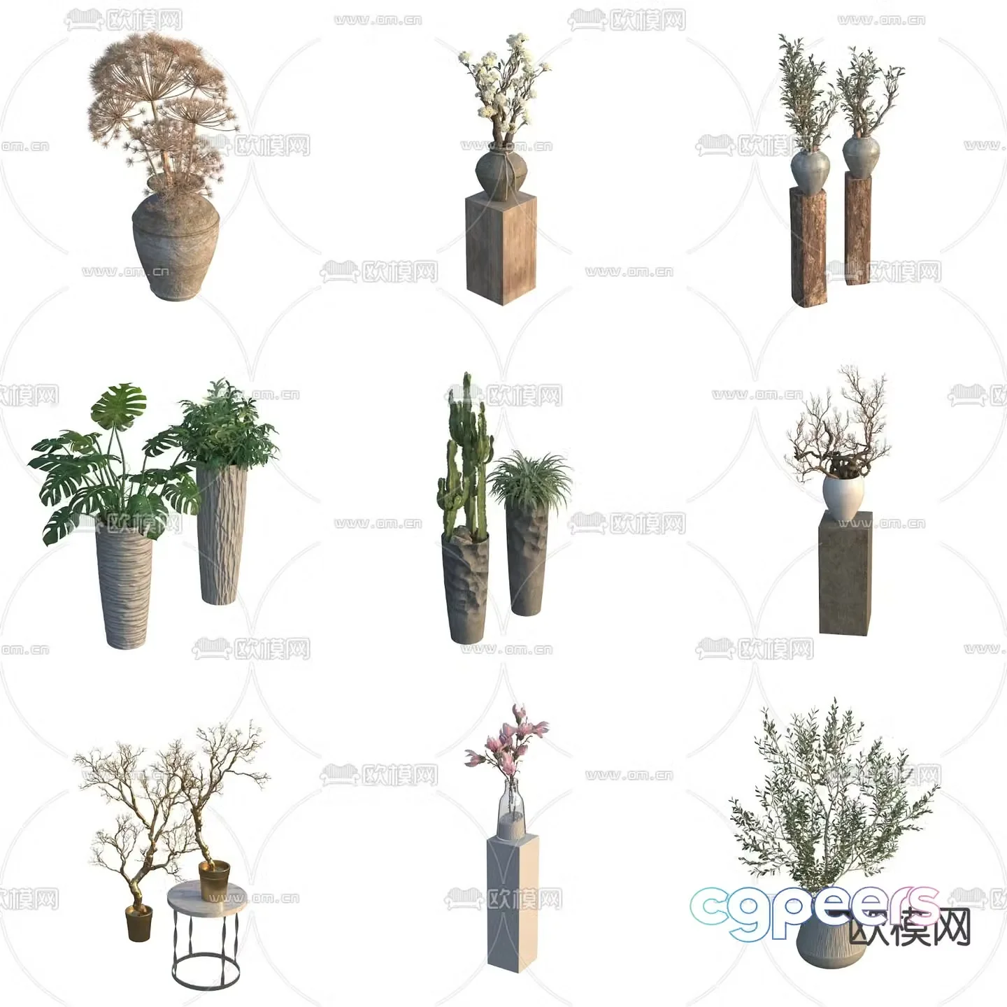 potted plant bonsai cactus monstera 3d model