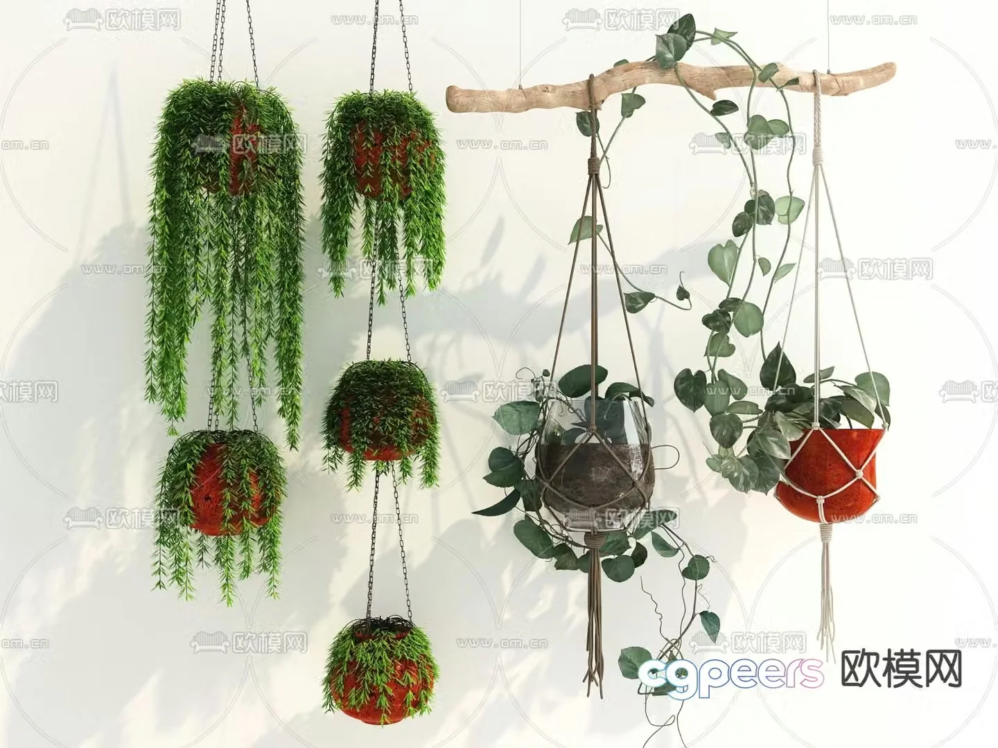 Potted plants bonsai hanging basket 3d model