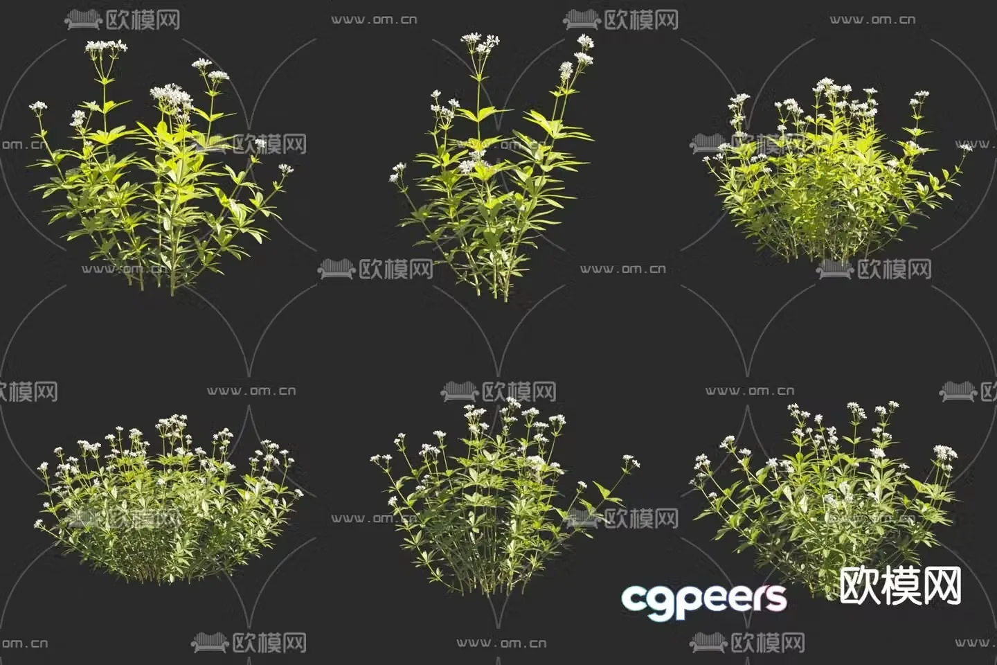 Axle grass starry sky fragrant car leaf clover fragrant pig flower and grass 3d model