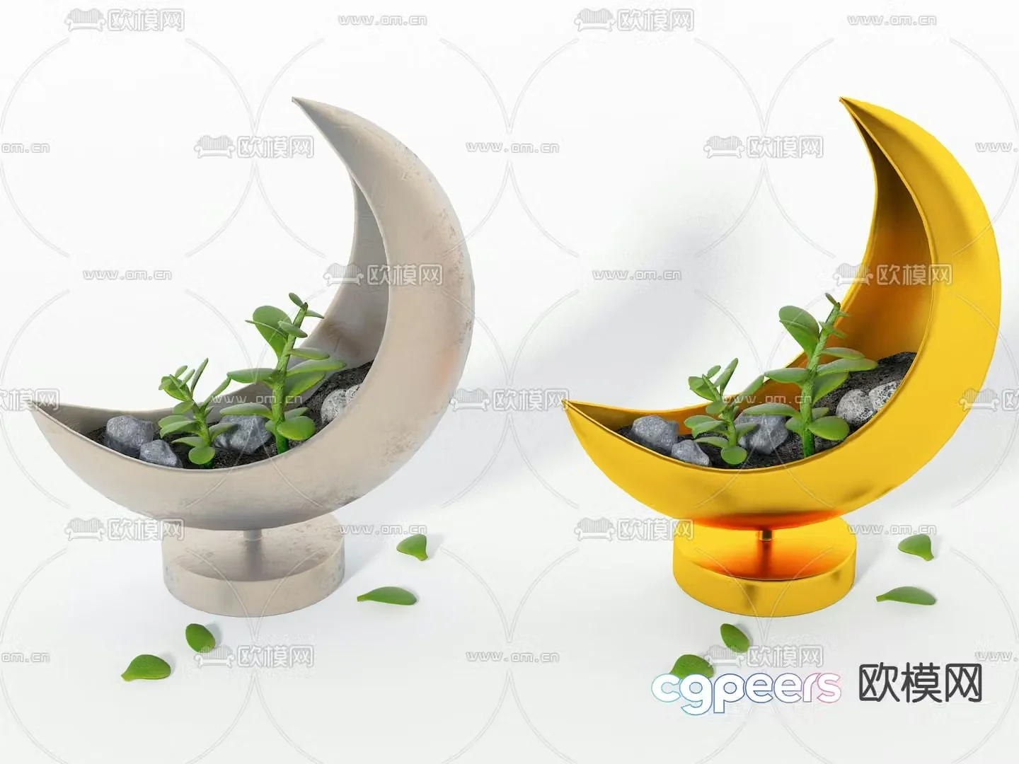 Moon potted plant Bonsai Succulent plant 3D model