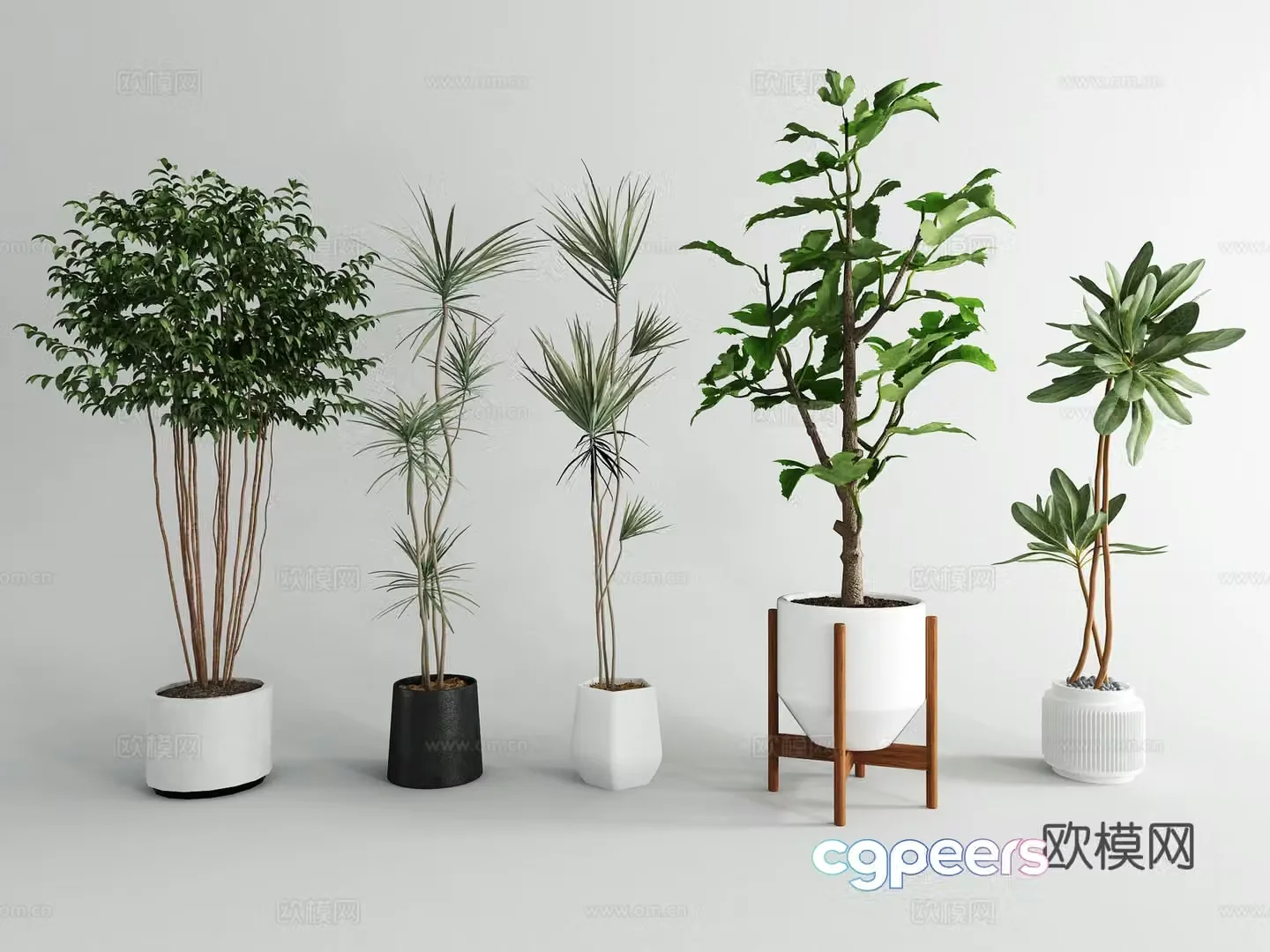 Flower pot Plant pot 3d model