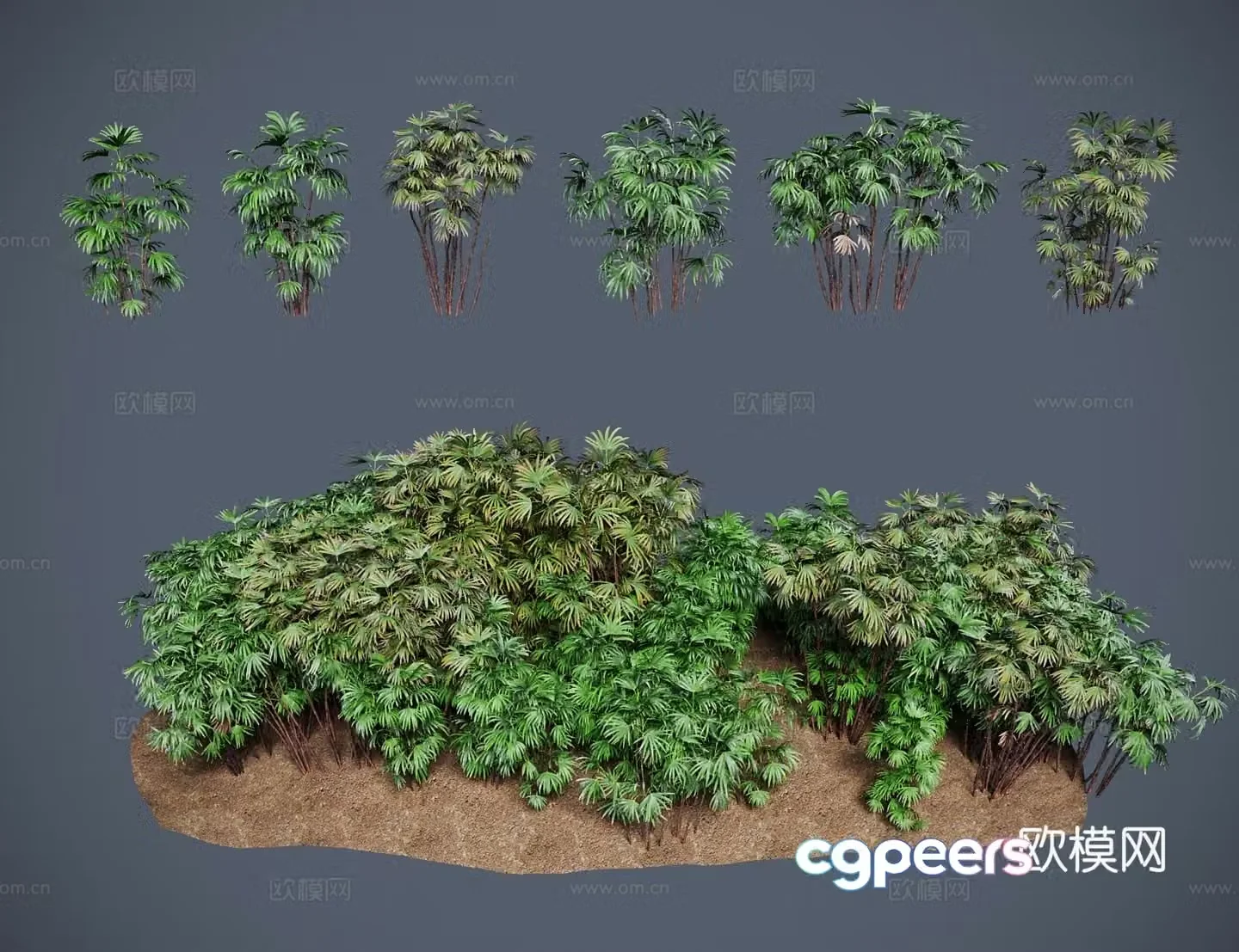 Modern landscape tree palm bamboo Guanyin bamboo tendon bamboo trunk bamboo tiger scattered bamboo palm bamboo dwarf palm bamboo 3d model
