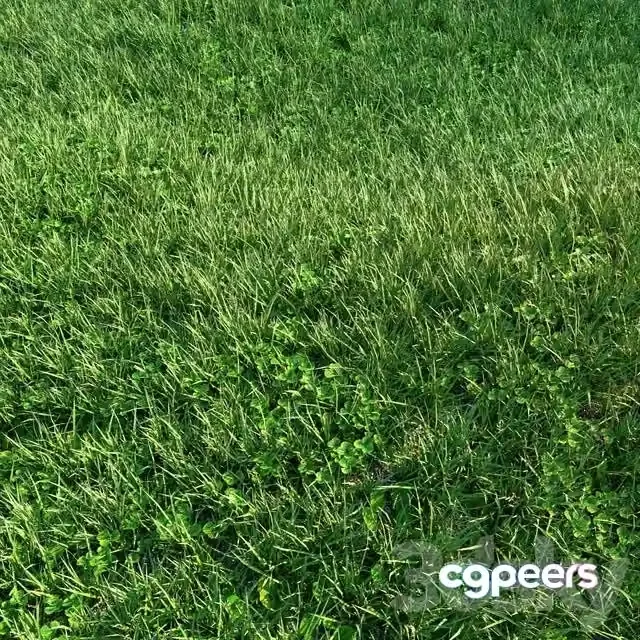 3ds Max Free – Grass 01