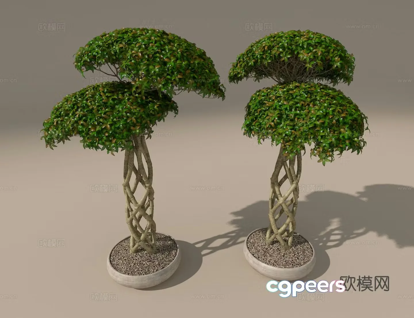 Potted green plants 3D model