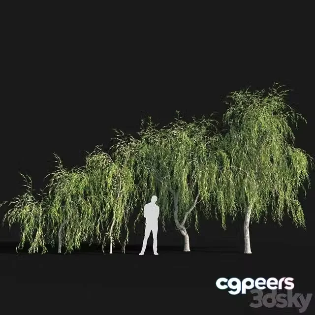 3ds Max Free – Willow # 4 (2.6 m – 5.7 m)