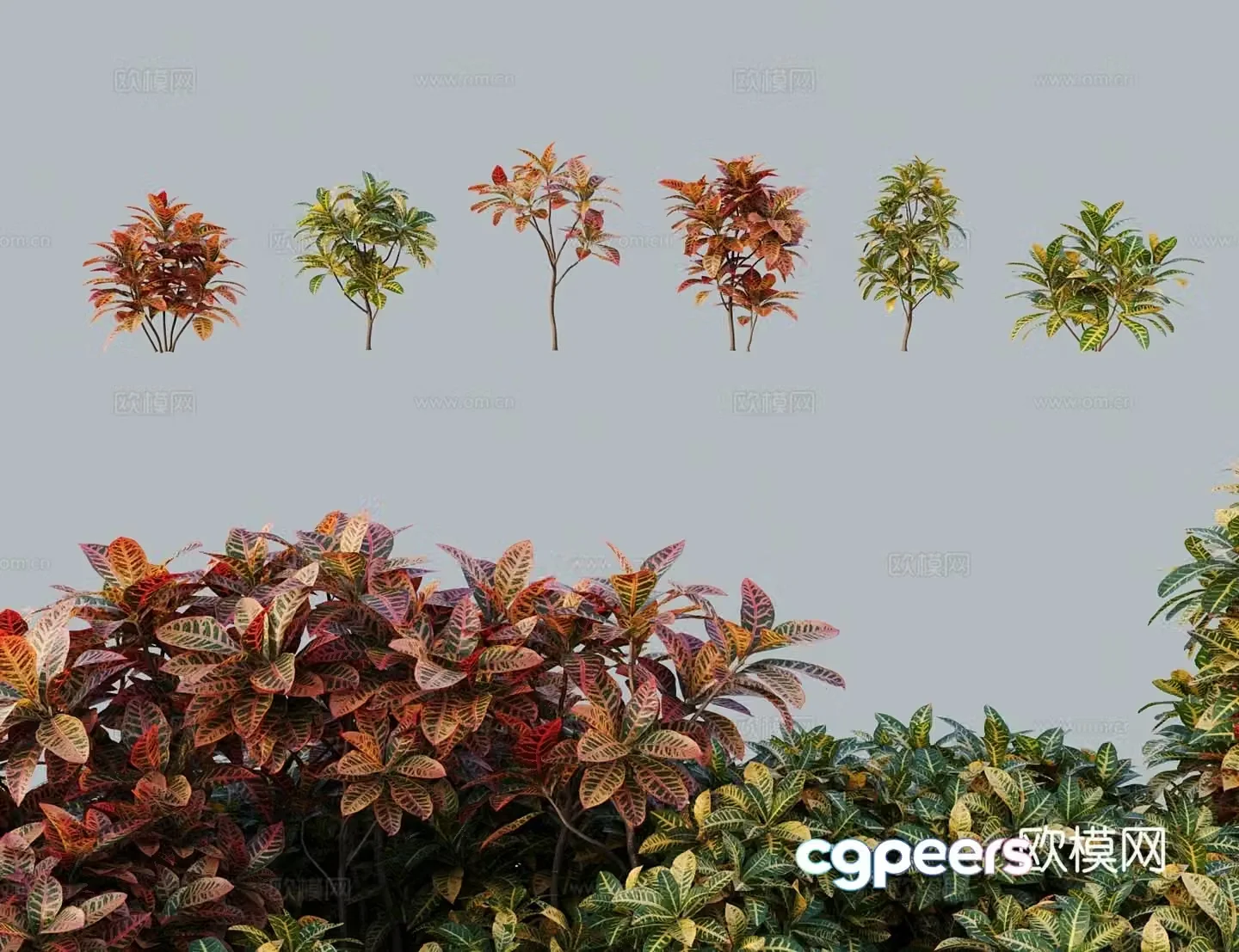 Modern tree shrub leaf-changing wood sprinkled golden banyan color-changing laurel 3d model