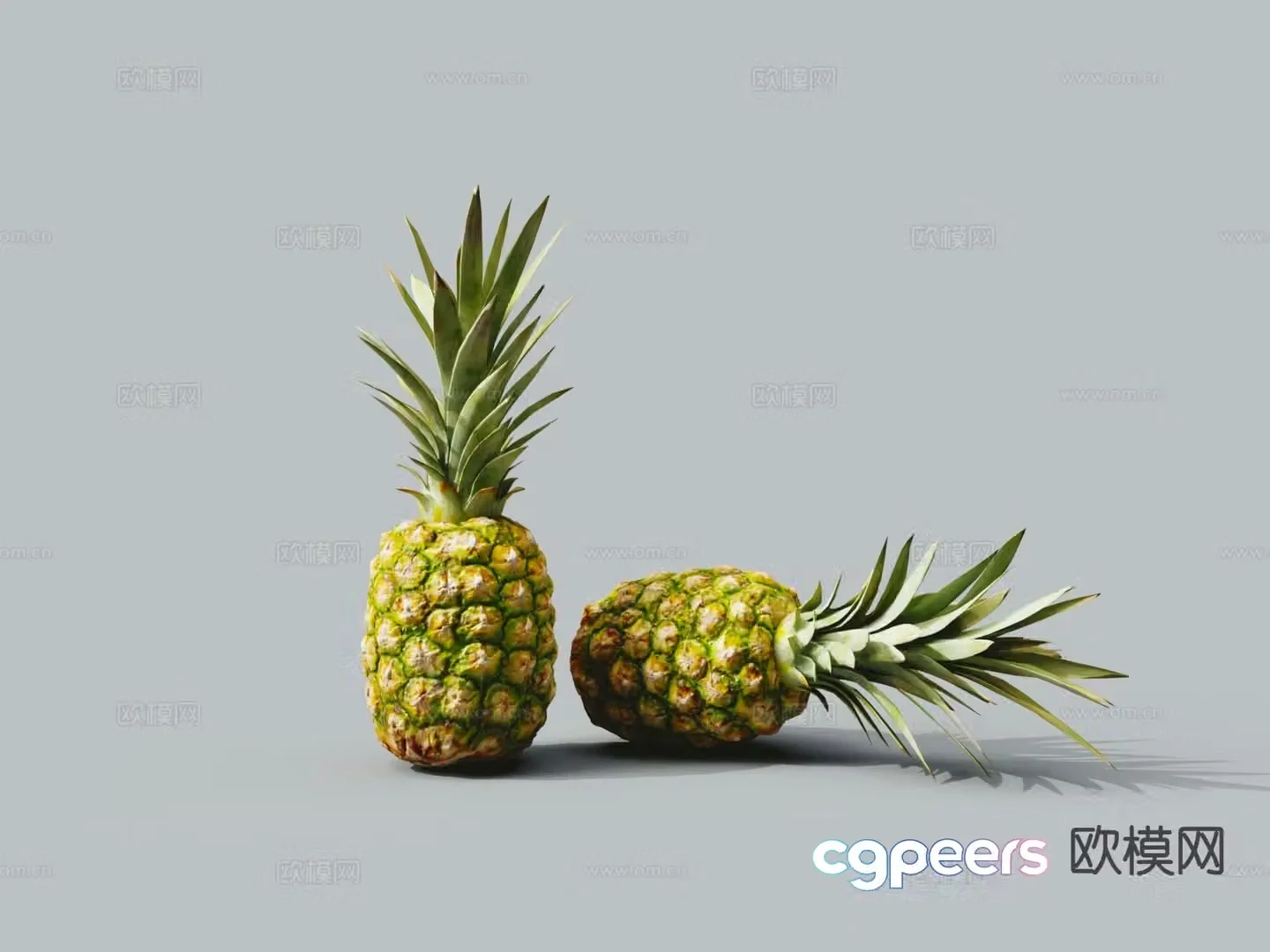 Fruit Pineapple Pineapple 3D Model