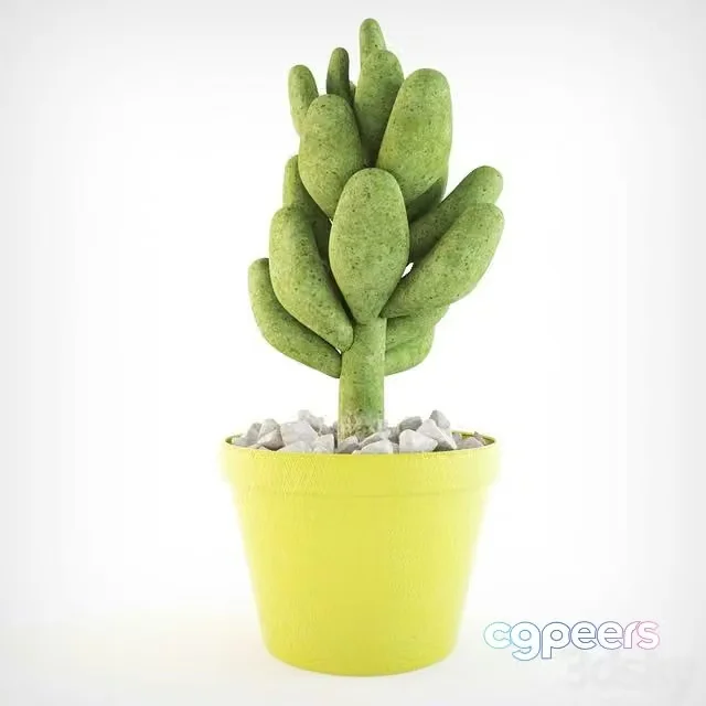 3ds Max Free – Succulents Stonecrop