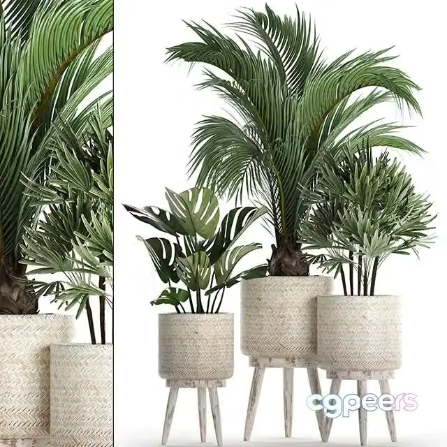 3ds Max Free – A collection of plants in white modern baskets. Set 427