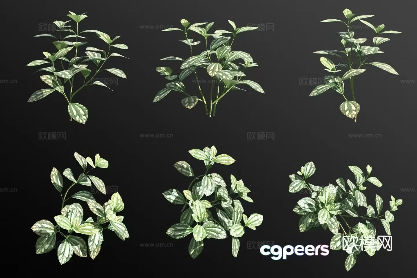 Ice water flower flowers and grass 3d model
