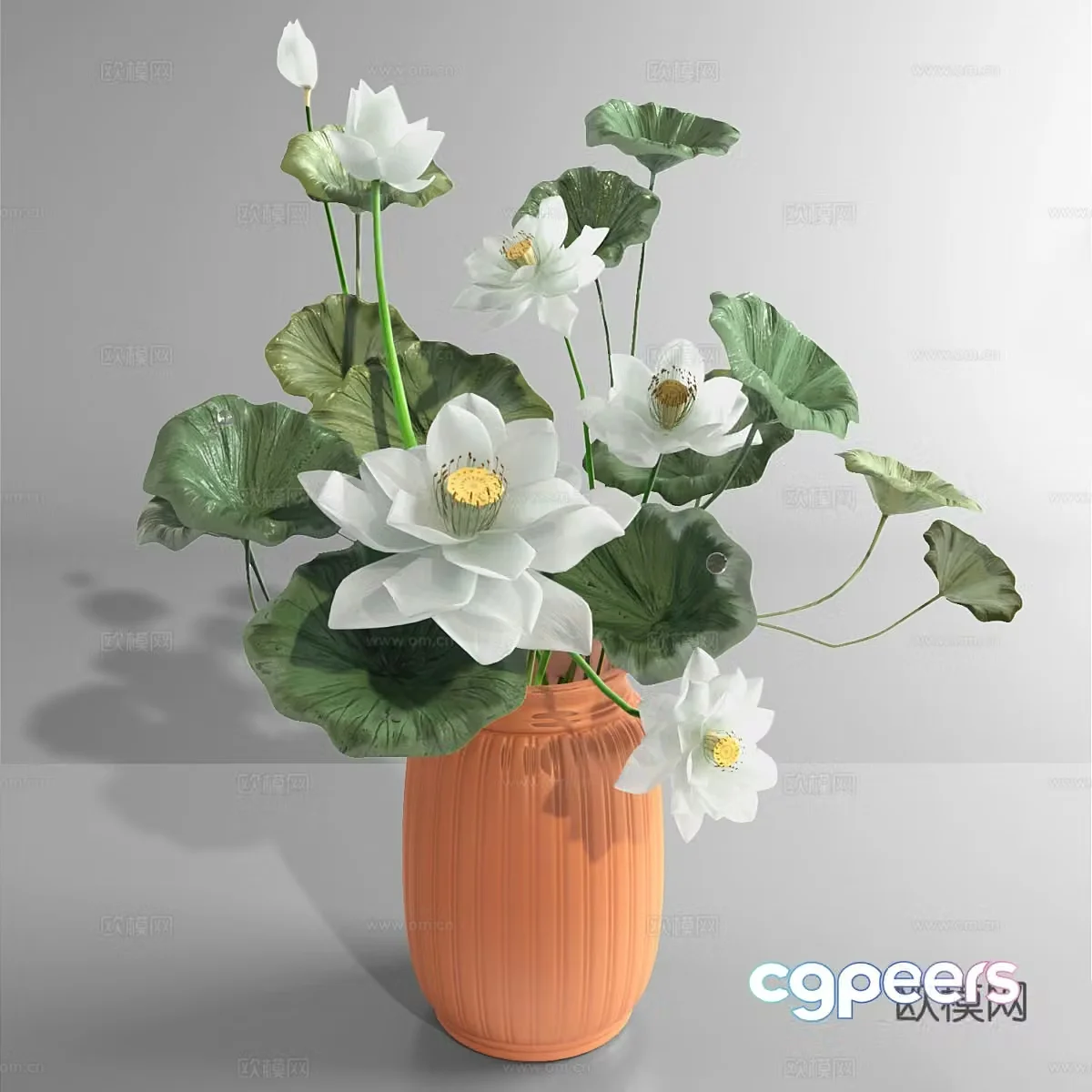 White lotus 3d model
