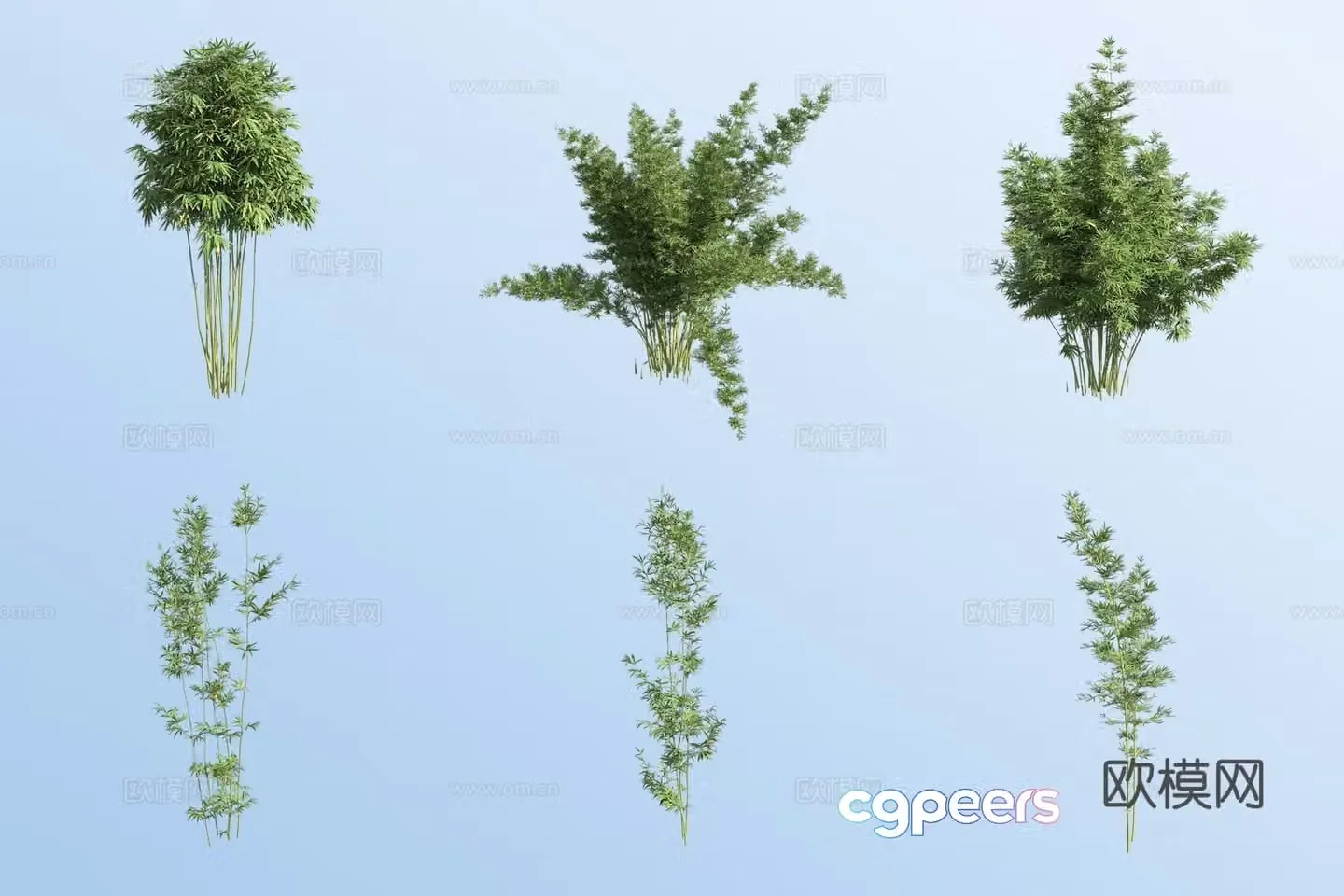 East Timor black bamboo 3d model