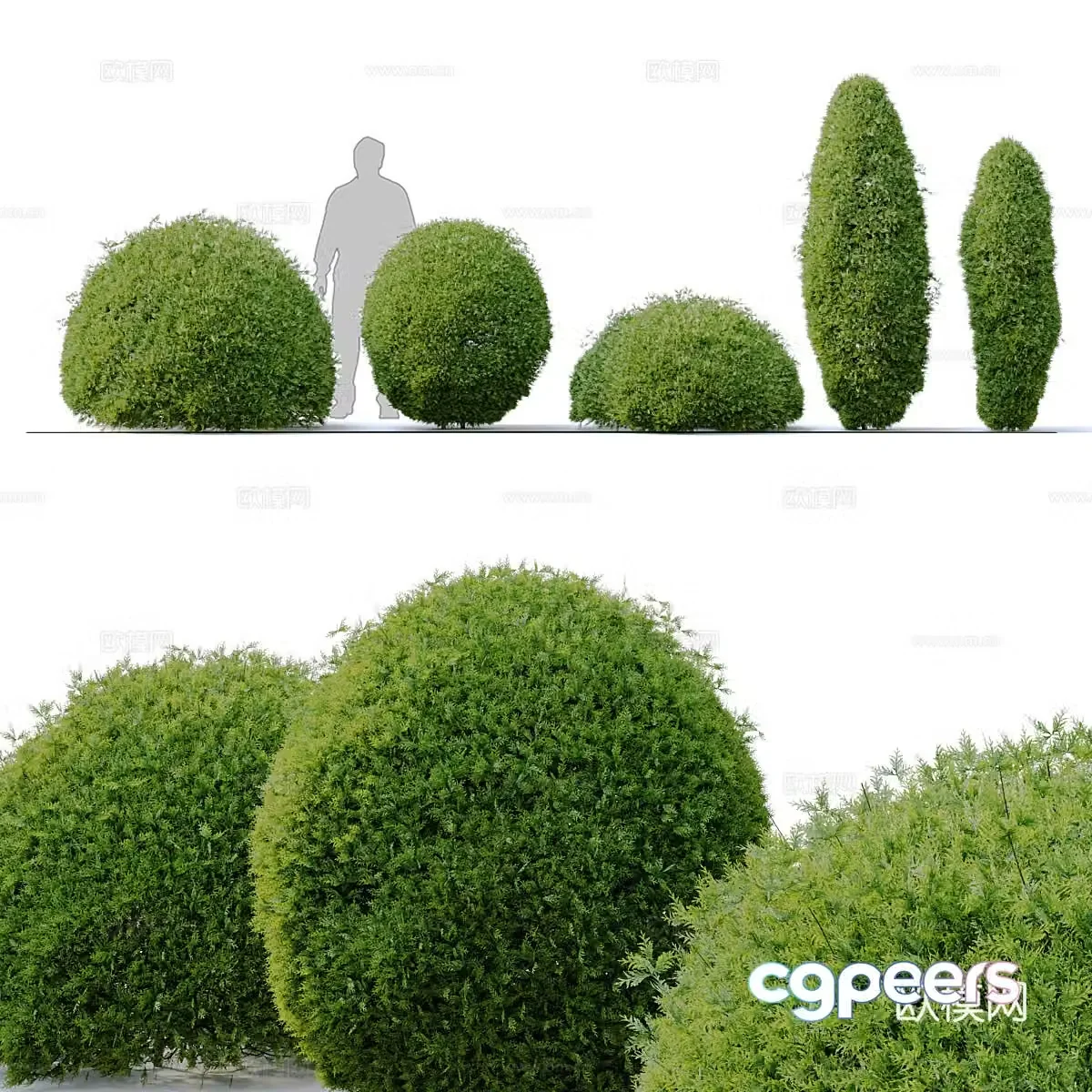 Arboretum 3d model