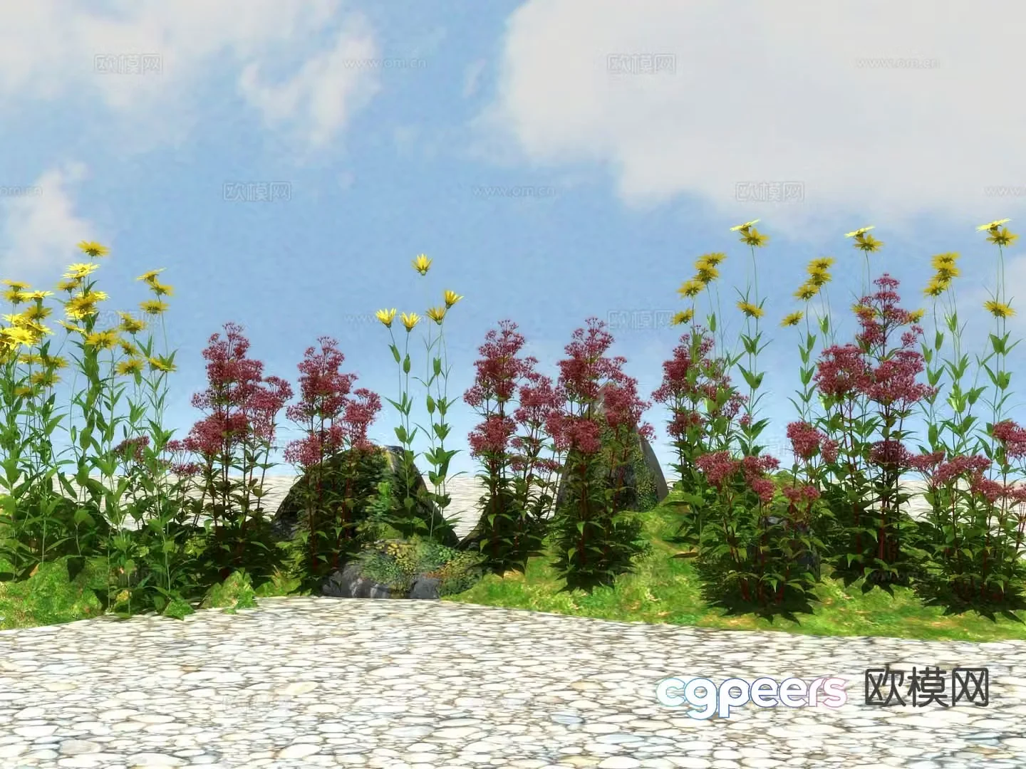 Flowers and plants shrubs 3d model