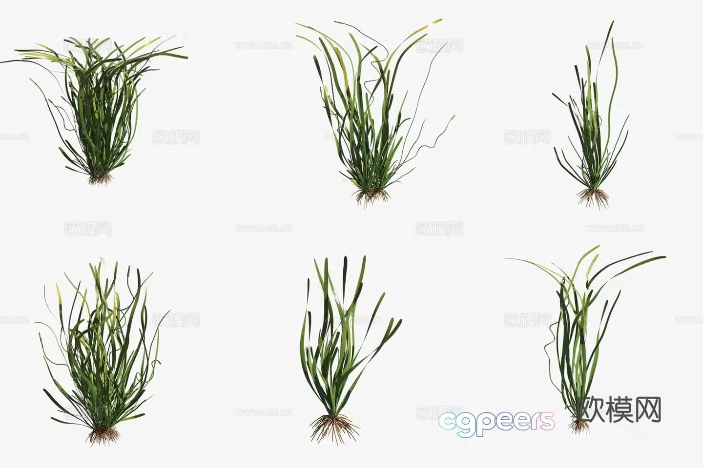 Aquatic plants spiral orchid aquatic plants 3D model