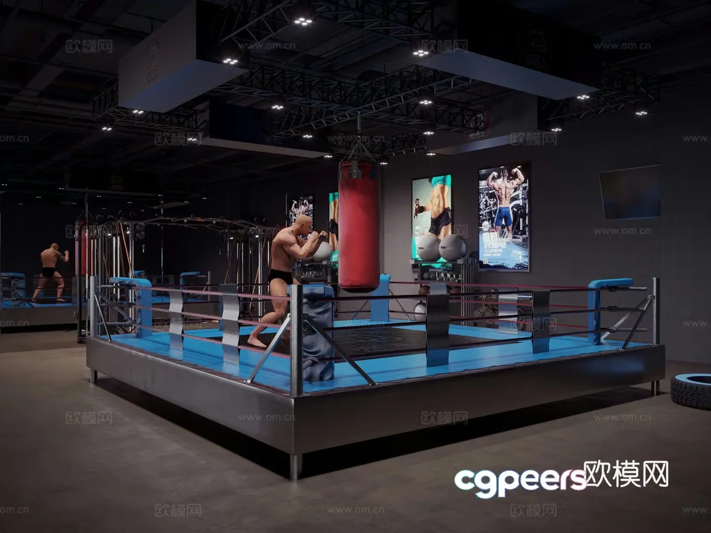 Modern gym boxing gym 3d model