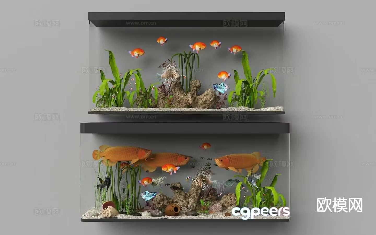 Modern fish tank aquarium 3d model