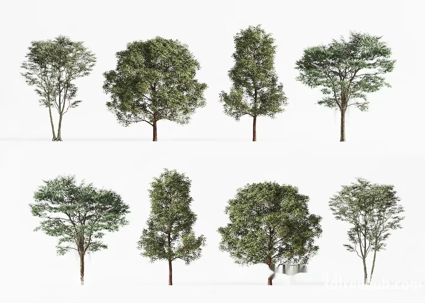 Trees. The Trees Are Green 3D Model – 22567 – VRAY Render