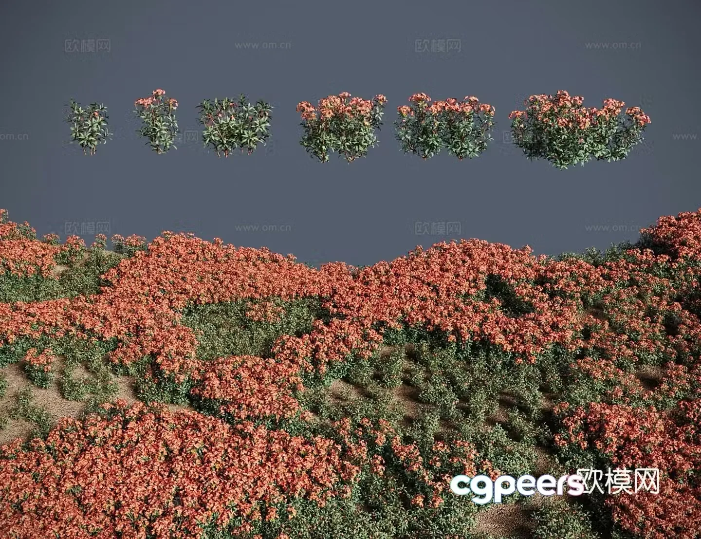 Modern landscape tree shrub round bud espuccino snow mountain espuccino orchid leaf espuccino red hair espuccino purple star espuccino 3D model