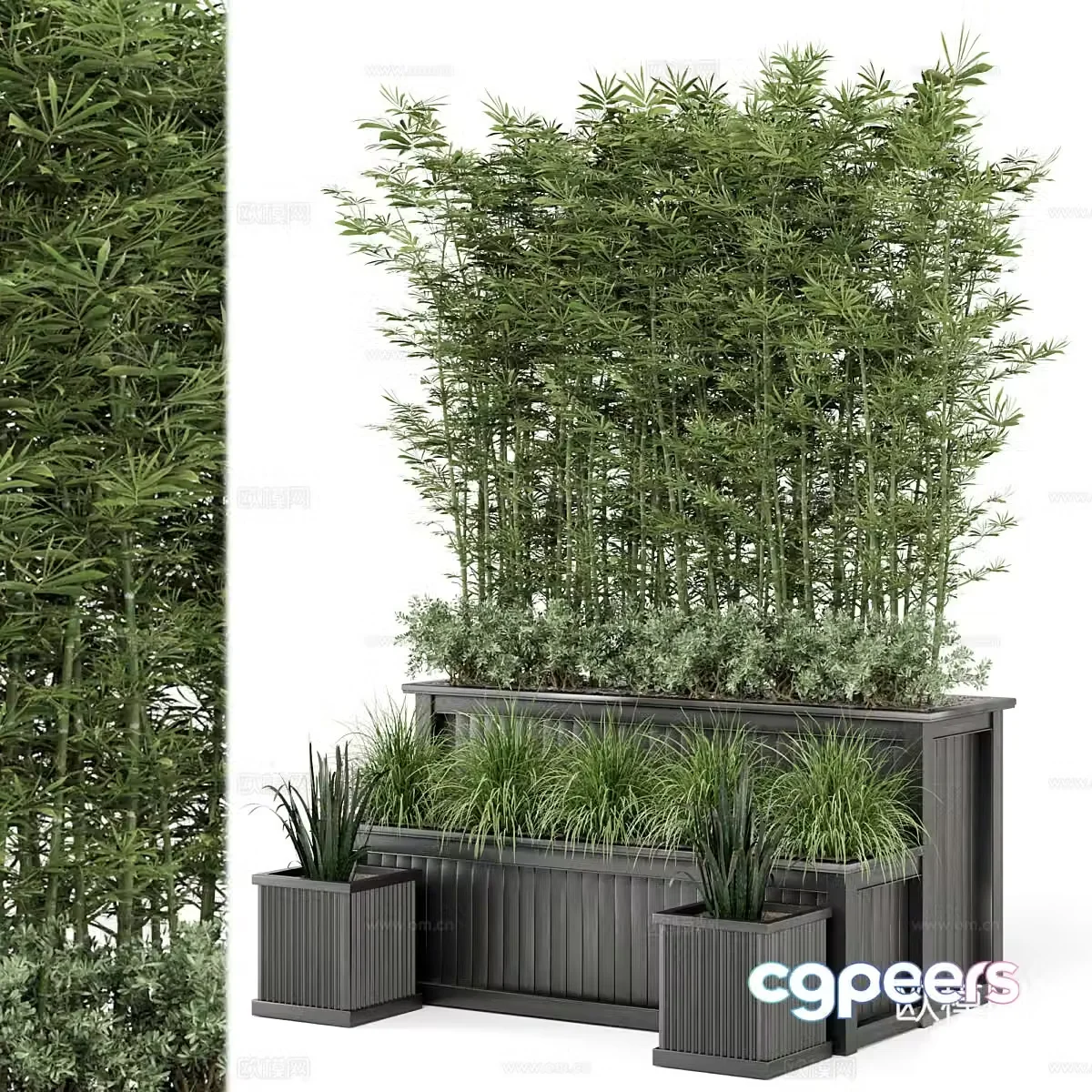 Bamboo potted plant bonsai 3d model