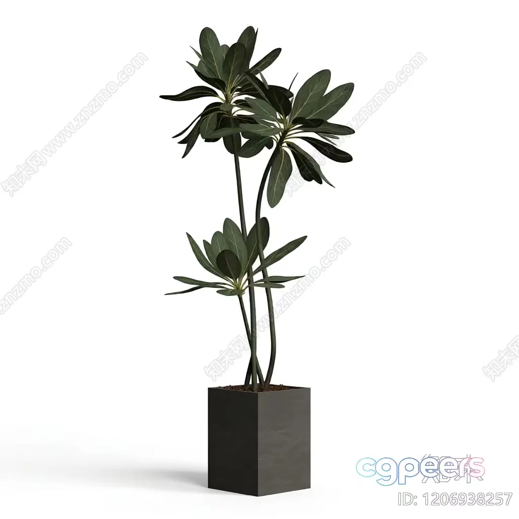 A Plant In A Pot 3D Model – 12534 – VRAY Render