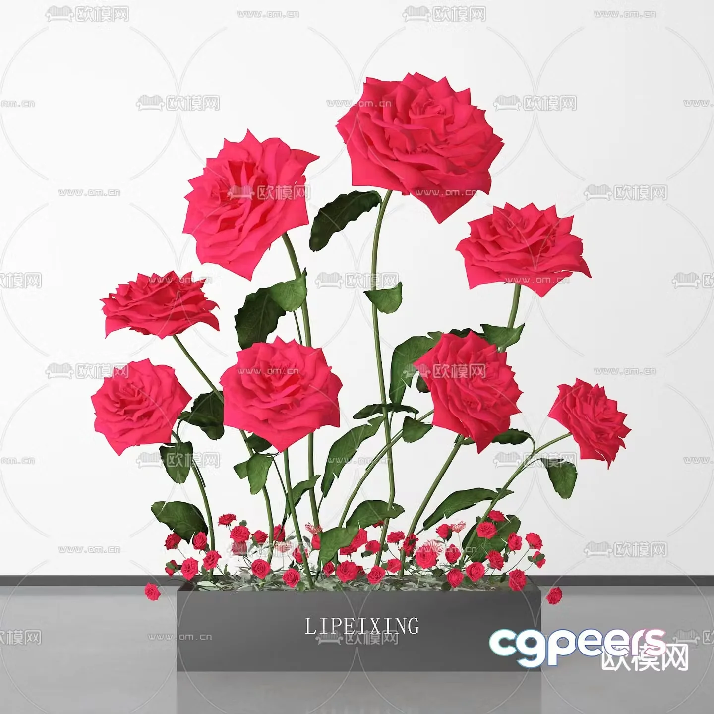 Rose Box Beauty Chen Flower Tank 3D Model