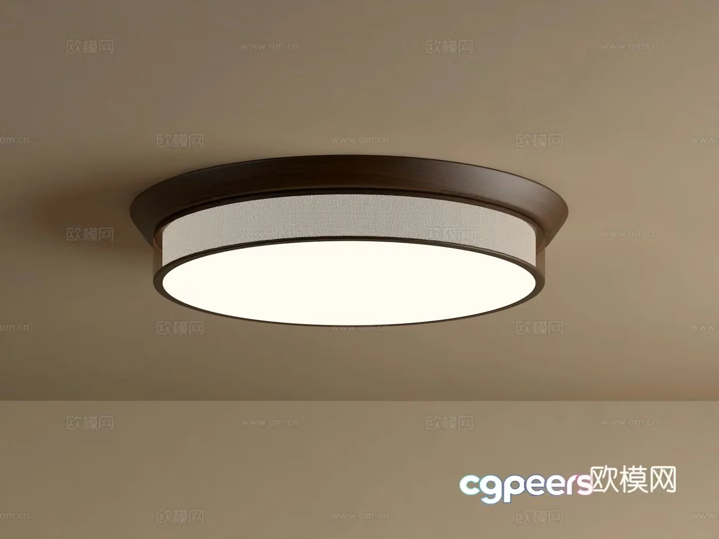 Wasabi Middle Age Ceiling Light 3D Model