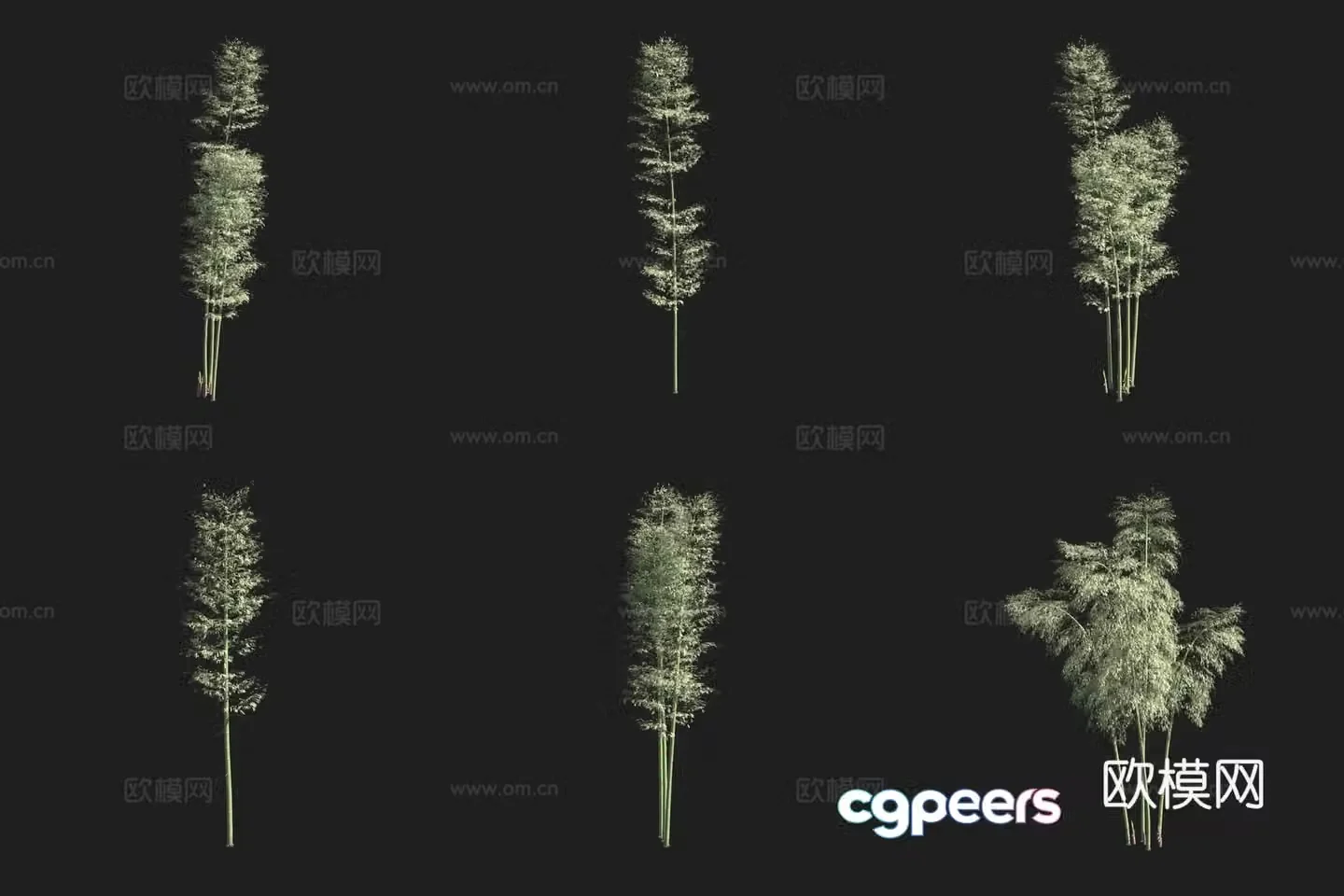 Bamboo bamboo forest 3d model
